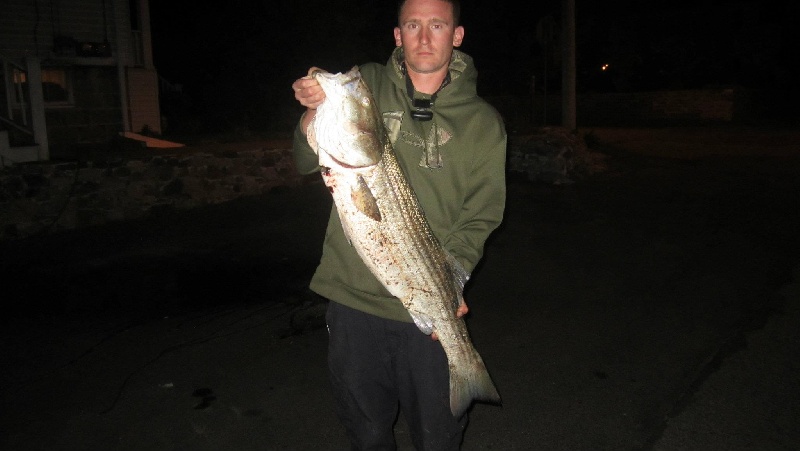 39in Striper june 2012