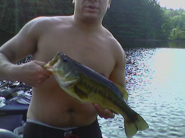 Largemouth Bass