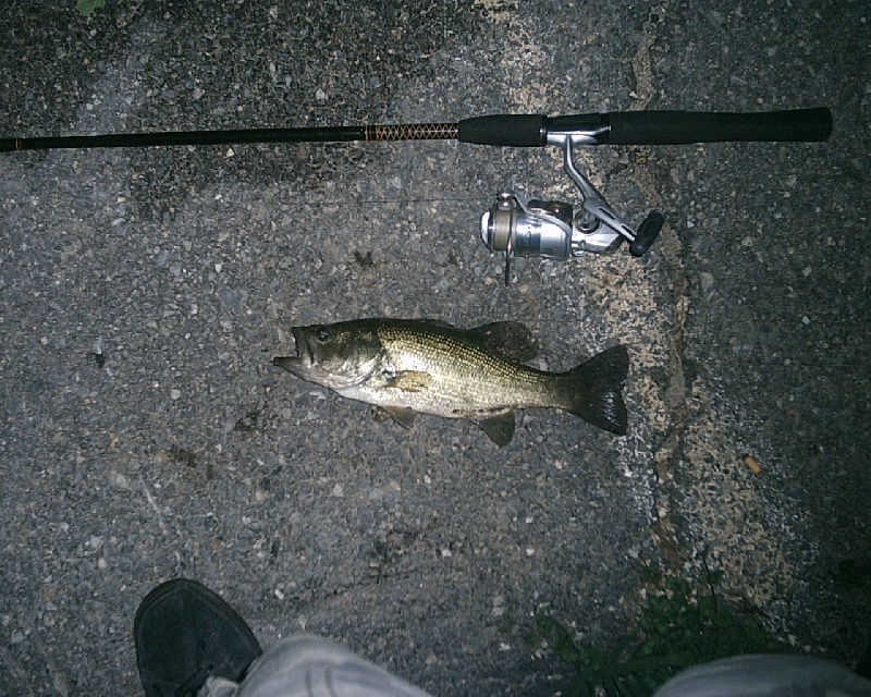 6/19/08 - Dudley Pond - Wayland, MA