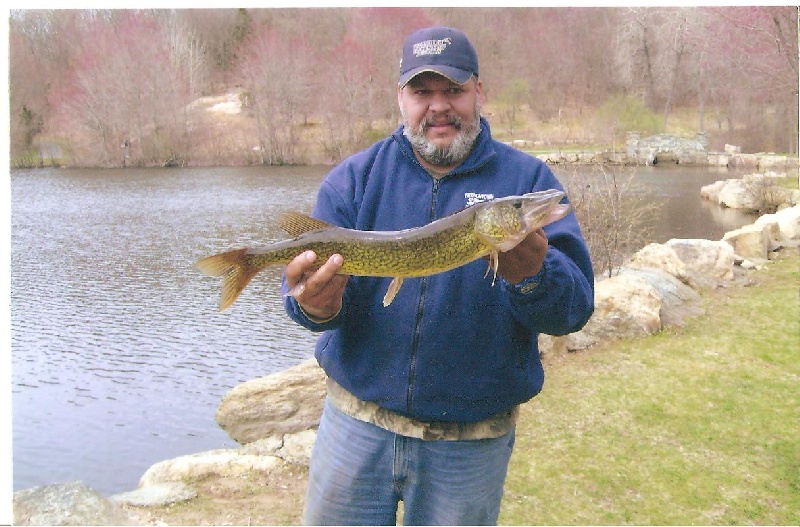 Big Pickerel