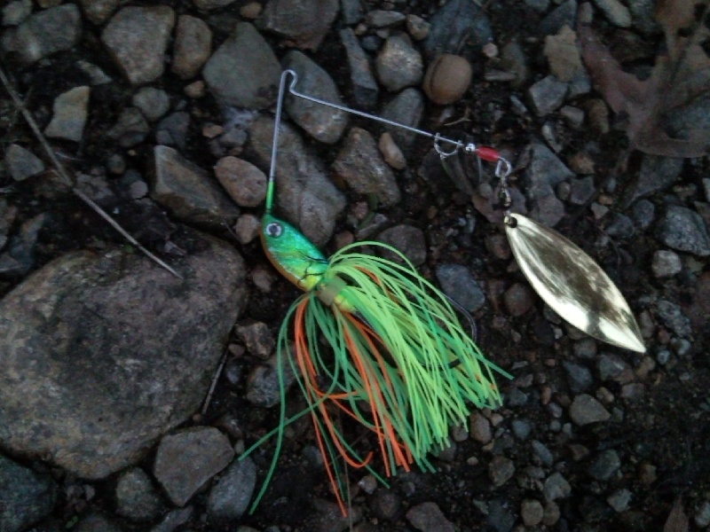 My favorite lure 2009 season