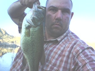 5 1/2 lbs