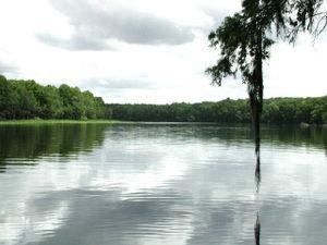 Suwannee River